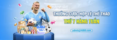 Theo dõi và phân tích kết quả