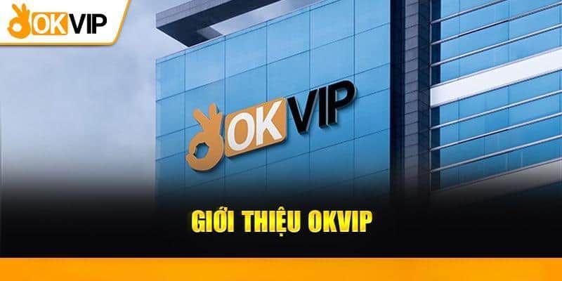 Liên minh Okvip - Giới thiệu, Lợi ích và Cách thức tham gia